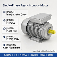 Moteur asynchrone monophasé 0,75 kW 1 CV 1400 tr/min 220 V 50 Hz avec boîtier en aluminium pour machines d'atelier