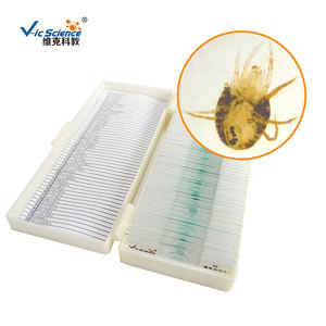 Lamella con campioni di acari rossi, artropodi, campioni vegetali e animali, attrezzatura didattica per la biologia, microscopio. - Product Image 3