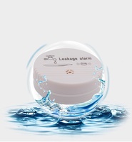 Détecteur de fuite d'eau sans fil, alarme à batterie 9V, détecteur intelligent de fuite d'eau par immersion
