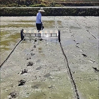 Boîte à semences en plastique résistante aux intempéries, anti-blocage, pour machine agricole de semis de riz, semoir à riz