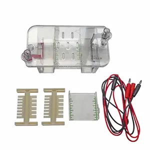 Horizontal Electrophoresis Trough High School Biological Experiment Device Demonstrating Instrument Teachers and Students Have