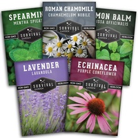 Kit de plantes de jardin en sachet de thé aux 5 herbes biologiques naturelles pour la plantation de thé à domicile, complémenté pour la culture du thé