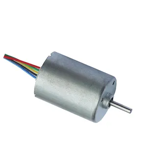 28mm 6v 12v 24v 6000rpm elektrikli DC Motor düşük gürültü uzun ömürlü BLDC fırçasız Motor