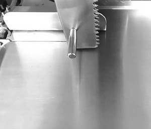 Scie à os congelée automatique lourde scie à viande et à os utilisée électrique découpeuse de poisson de viande découpeuse automatique d'os - Product Image 5