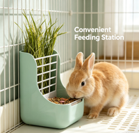 Mangeoire à foin 2-en-1 pour lapins, chinchillas et jeunes lapins, à suspendre, abreuvoir, accessoires, remplissage facile, en ABS