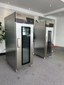 <span class=keywords><strong>10</strong></span> 18 24 36 khay lạnh Bánh Mì Bánh Pizza bột bằng chứng retarder prover retarder-bằng chứng giá froid Tủ đông retarder bằng chứng - Product Image 2