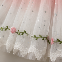 Robe de tutu longue pour femmes, sans manches, en polyester, costume de performance professionnel pour Le Lac des cygnes/Giselle