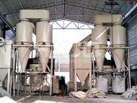 Prix d'usine sur Alibaba en Indonésie Moulin Raymond de pulvérisation de haute qualité pour la production de poudre de dolomite