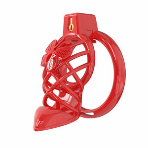 2025 nouvelle <span class=keywords><strong>Cage</strong></span> de chasteté de Style à talons hauts avec prise anale électrique SM jouets sexuels pour hommes pénis Bondage et retenue serrure de chasteté - Product Image 6