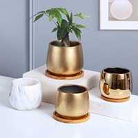 Simpele succulenten potten van keramiek voor balkons, tafeldecoraties, Scandinavische moderne vergulde kleine bloempotten