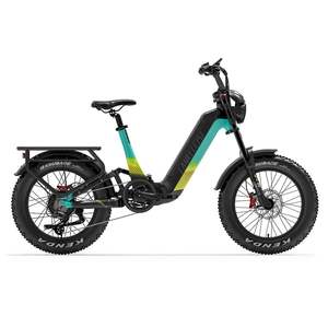 Bicicleta Eléctrica Lankeleisi RX800 Plus Versión 2025, 1000W, 20 Pulgadas, Neumáticos Anchos, 960Wh, Suspensión Completa, con Sensor de Torque, Batería de 48V 20Ah - Product Image 3