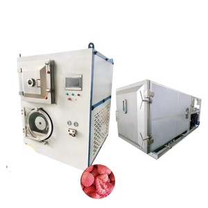 Machine de lyophilisation commerciale en acier inoxydable 304, haute efficacité, prix compétitif, moteur pour aliments, légumes, fruits - Product Image 6