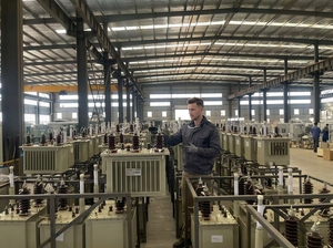Transformador de Potencia Sumergido en Aceite Totalmente Sellado Serie S11, 500KVA-1250KVA, Transformador de Distribución Trifásico Aislado - Product Image 3