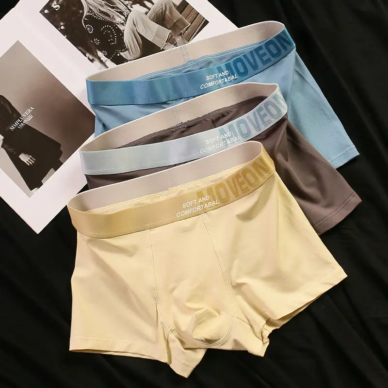 Men's Sexy Breathable Briefs Underwear men's briefs boxers New Style Panties Over Sized Men Panties Male Flat Corner Pants