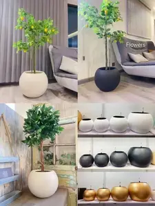 Indoor And Outdoor Plastic Self-watering Flower Pot