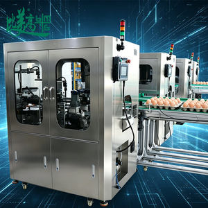 Système d'inspection visuelle 6 faces pour l'emballage des plateaux à œufs avec rejet automatique des produits défectueux - Product Image 5