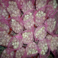 Gecertificeerde OPTIMUM merk China Shandong verse witte knoflook exporteurs voor de wereldmarkt, hoge kwaliteit groothandelsprijs