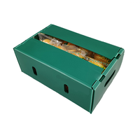 Boîte en polypropylène ondulé haute densité de qualité supérieure pour l'emballage des légumes et des fruits, avec taille et forme personnalisées
