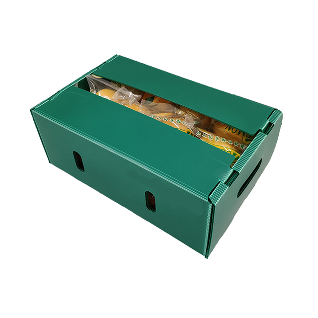 High Quality High-Density Polypropylene Corrugated Box for Vegetable and Fruit Packaging with Custom Size & Shape
