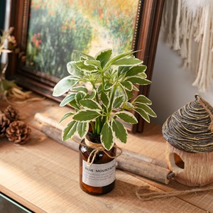 CallaFloral Árbol Artificial en Forma de Schefflera Verde Blanco PVC Decoración de Boda Estilo INS Planta Transfronteriza - Product Image 1