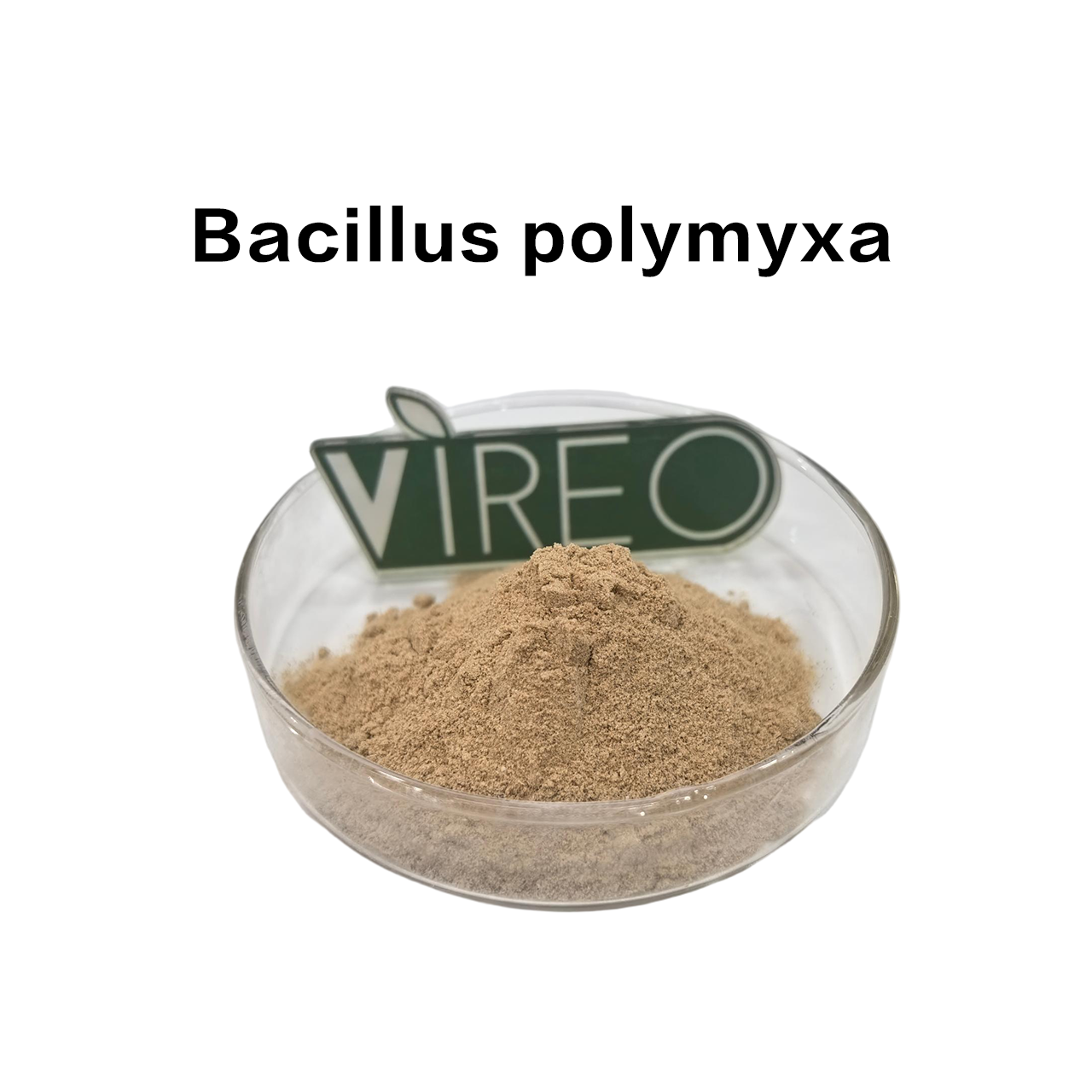 Used for Fruits, Vegetables, Grains, Chinese Medicinal Herbs, and Other Crops Bacillus Polymyxa Powder Bacillus Polymyxa