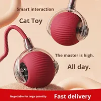 Vente en gros de jouets pour animaux de compagnie écologiques et tendance, 7 couleurs, rechargeables par USB, interactifs, en plastique et silicone, pour chats et chiens, durables et résistants à la mastication