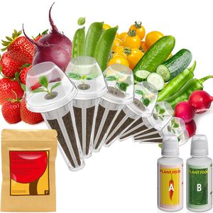 Kit de culture hydroponique d'intérieur personnalisé pour AeroGarden Ahopegarden GARDENCUBE MUFGA <span class=keywords><strong>IDoo</strong></span> avec accessoires - Product Image 1