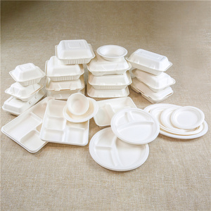 Biodegradable Disposable Food Trays with Compartments for Takeaway in Mauritius