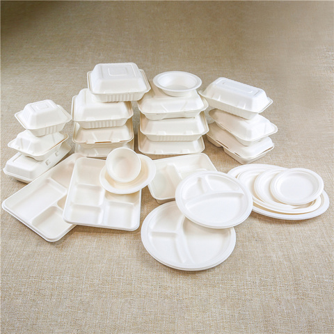 China Bagasse Tableware Trays Manufacturer Takeaway Boxes