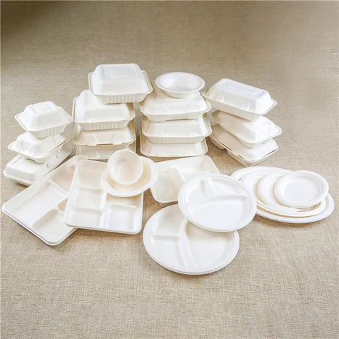 Disposable food packaging solutions | DECHEN Food Packaging Supplies
