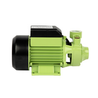 Pompe à eau QB60 1/2" hp, arbre en acier inoxydable, haute pression, usage automobile, pompe périphérique, pompe électrique de surface
