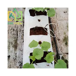 Placa de Coco para cultivo de cocopeat, sistema de cultivo hidropónico de tomate