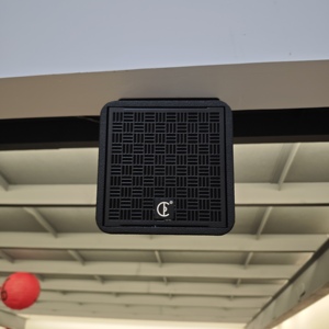 CX-5 chuyên nghiệp hiệu suất sân khấu đồng trục loa công suất cao loa ngoài trời với 4ohm & 8Ohm Trở kháng - Product Image 3