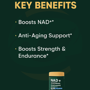 OEM Nicotinamide Riboside Capsules met Resveratrol Liposomale Urolithin A Capsules Supplement Vegan NAD+ Resveratrol Capsules - Product Image 2