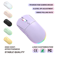 Souris de jeu sans fil tri-mode 2.4G, double canal sans fil, filaire, RGB, 4800 DPI, 1000Hz, Type C, rechargeable, vente en gros, OEM