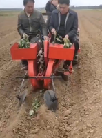 Tracteur agricole, machine à planter les patates douces, semoir à pommes de terre, transplantation de 2 rangs de plants de patates douces