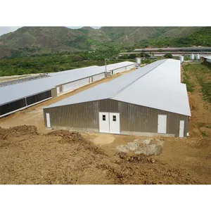 Dubai broiler farm poultry chicken farm building house coop for sale