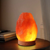 Lampu Garam Kristal Alami Grosir, Garam Batu Himalaya Pink dengan Saklar Peredup, Asli dari Pakistan, Dekorasi Feng Shui