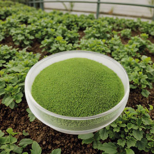 Engrais foliaire en poudre Rosia EDTA à base d'oligo-éléments chélatés (calcium, magnésium, zinc, bore, <span class=keywords><strong>fer</strong></span>, manganèse) organique haute pureté - Product Image 5