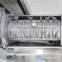 304 Roestvrijstalen Kokoswater Extractie & Breekzuigermelkpersmachine Voor Fruitverwerkingsfabriek En Korenmolen