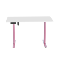 Mobilier de bureau moderne de luxe Bureau debout électrique à double moteur réglable en hauteur Bureau assis-debout en métal de haute qualité
