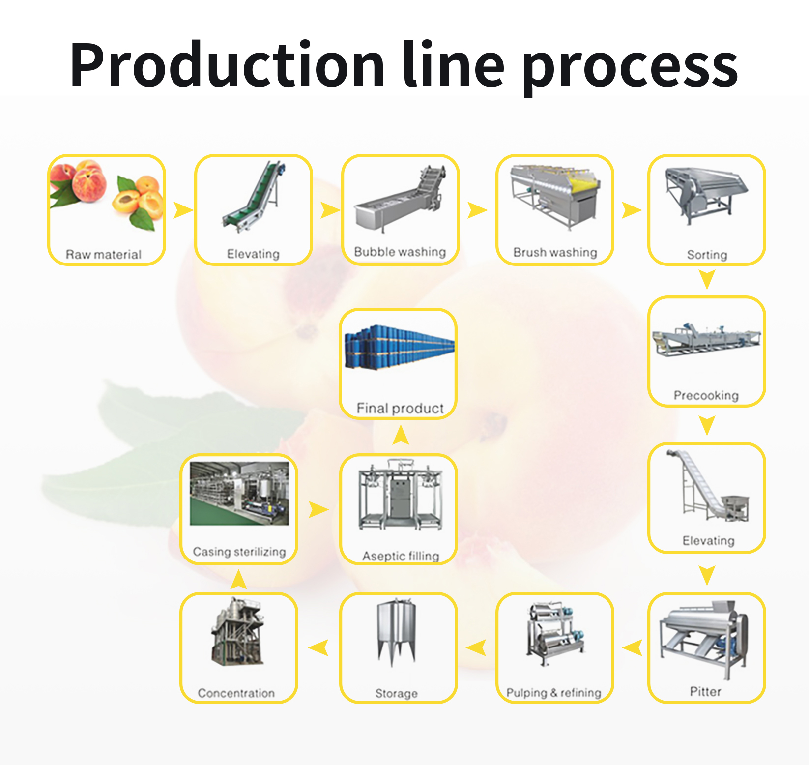 Complete Pineapple And Mango Juice Processing Line Automatic