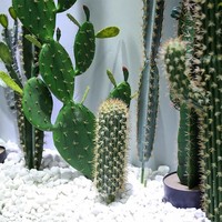 Plantes artificielles décoratives : Cactus pour salles de diffusion en direct, plantes en pot artificielles pour vitrines intérieures, plantes en pot sur le thème du désert