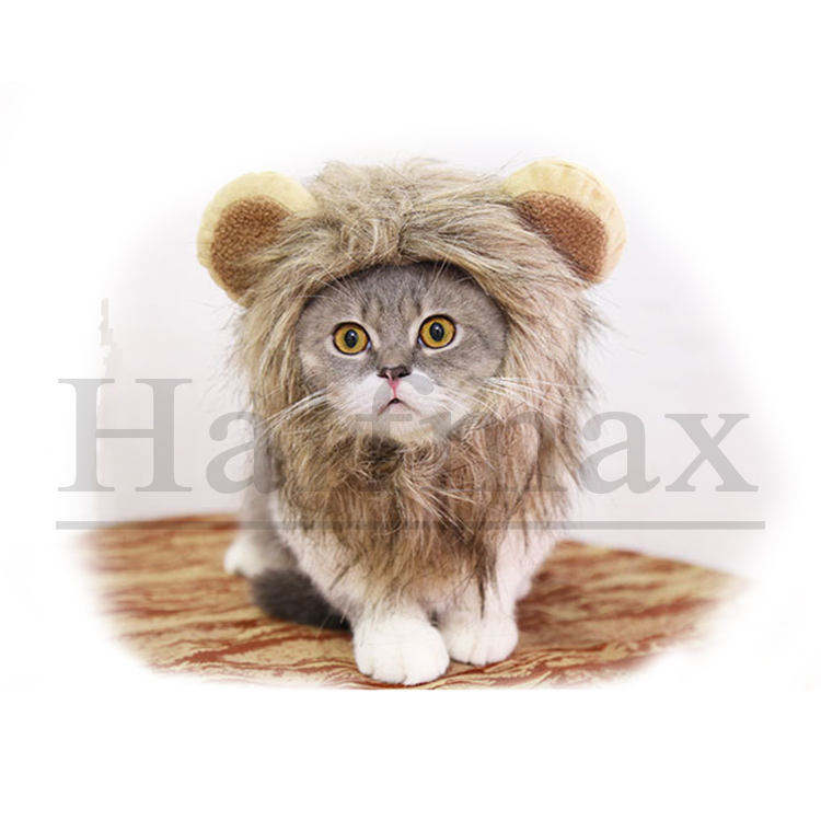 Grossiste Perruque Chat Acheter Les Meilleurs Perruque Chat Lots De La Chine Perruque Chat Grossistes En Ligne Alibaba Com