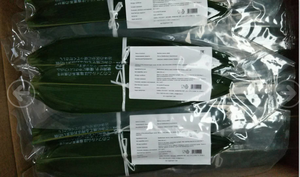 Venta al por mayor de gran tamaño comida Natural de grado <span class=keywords><strong>Sushi</strong></span> fresco hojas de bambú - Product Image 6