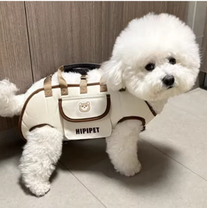 GLIWAY Hands-Free Dog <b>Backpack</b> Carrier for Small Dogs, Dog Lift Harness, Portable Breathable Pet Carrier <b>Backpack</b> - Product Image 2