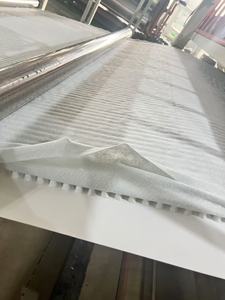 Panneau en plastique de drainage de matériaux de construction de bâtiments légers imperméable pour l'aménagement - Product Image 4