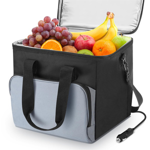 15L Portable Cooler Bag Car Cooler Watertight Liner Bag Soft Sided Thermoelectric Travel Cooler with Shoulder Strap - Product Image 1