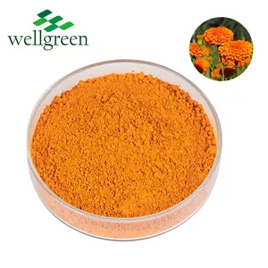 Xanthophyll Flower Xanthine Lutein Organic Powder 10% Price 20% Marigold Extract