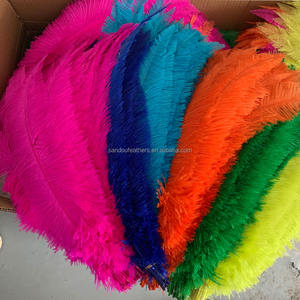 Nuevo producto 18-20 "45-50 cm Dos tonos de avestruz teñida blanqueada <span class=keywords><strong>Nandu</strong></span> - Product Image 6